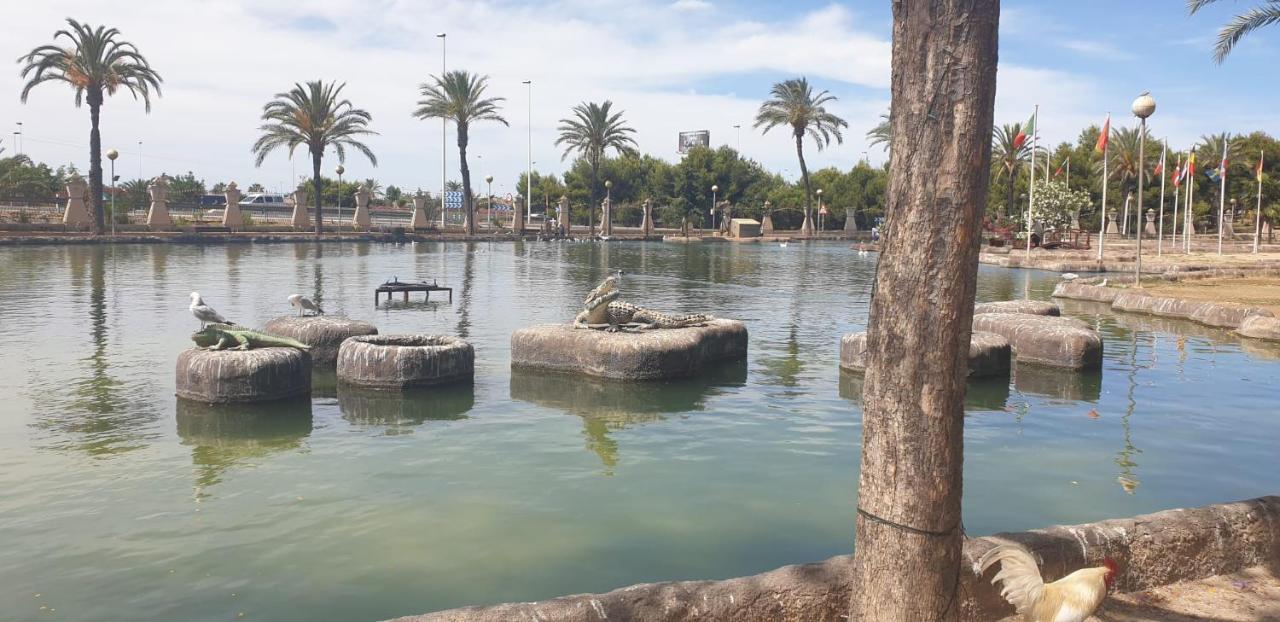 Schoene Wohnung Mit Pool , Wi-Fi Und Privat Garage Torrevieja Exteriör bild